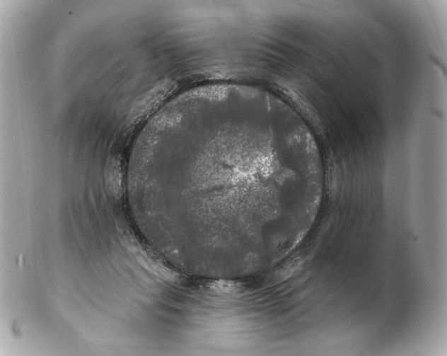 X0000102490261200808291656