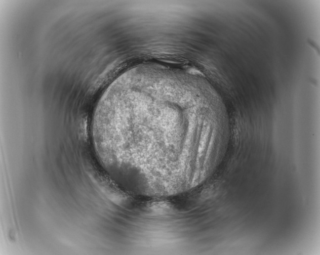 X0000102490262200808291656