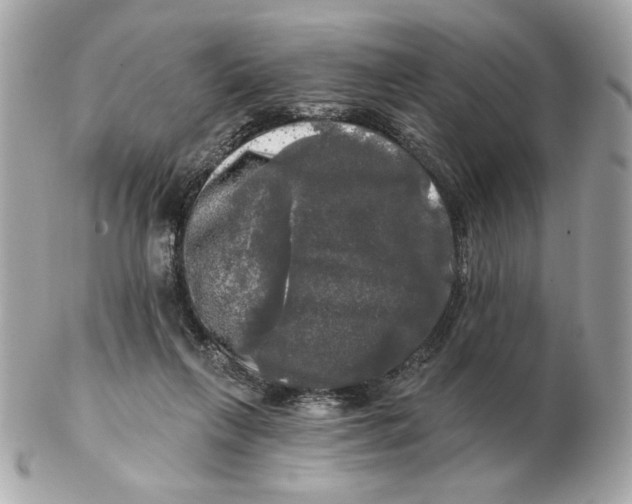 X0000102490263200808291656