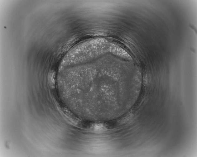 X0000102490264200808291656