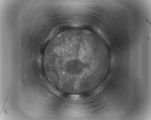 X0000102490265200808291656