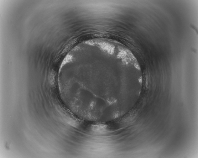 X0000102490266200808291656