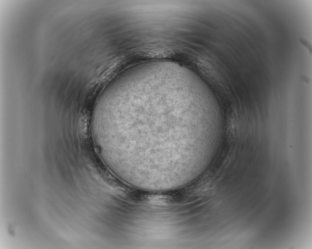 X0000102490268200808291656