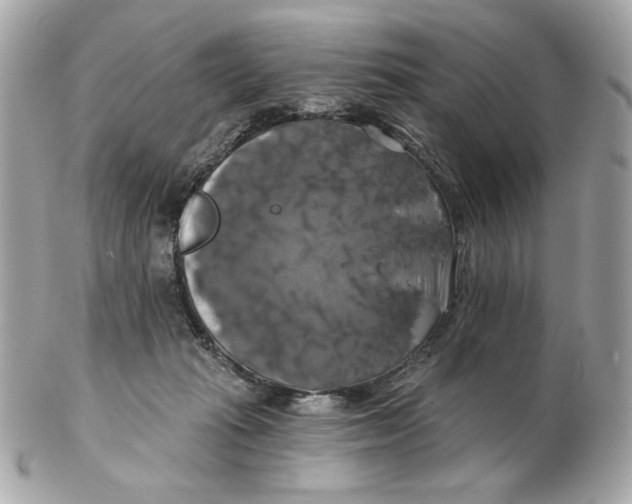 X0000102490269200808291656