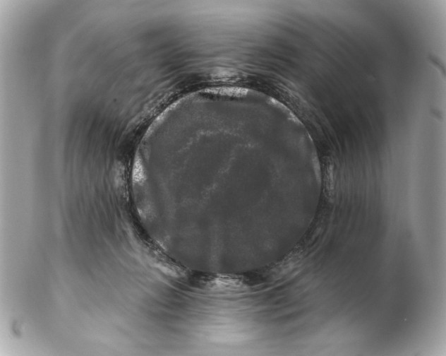 X0000102490270200808291656