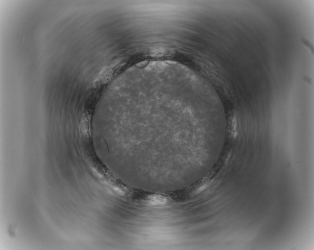 X0000102490272200808291656