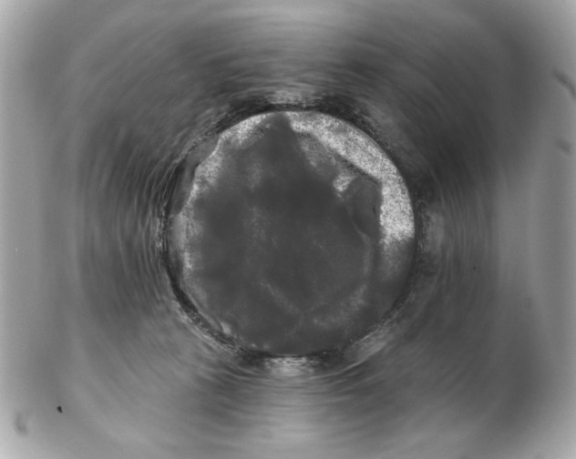 X0000102490273200808291656