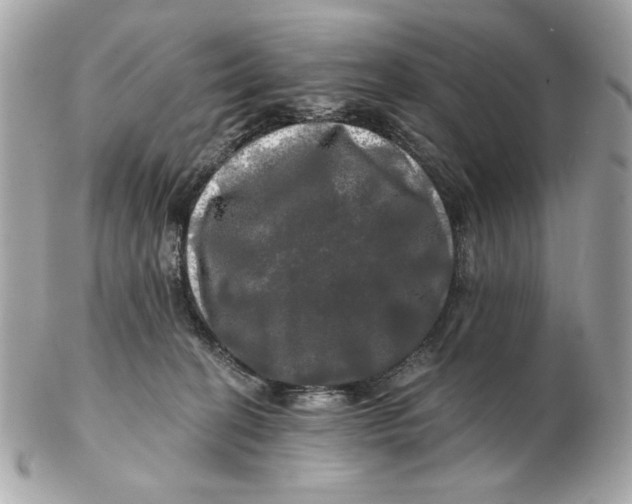 X0000102490274200808291656