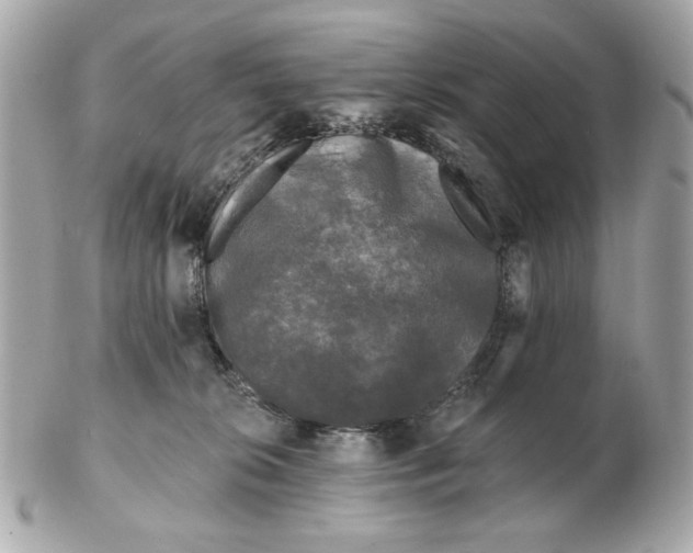 X0000102490276200808291656