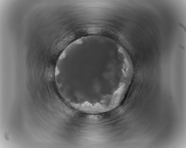 X0000102490277200808291656