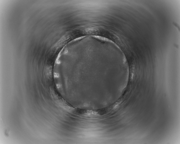 X0000102490278200808291656