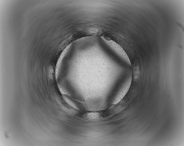 X0000102490279200808291656