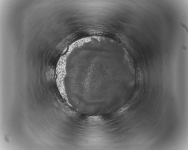 X0000102490281200808291656