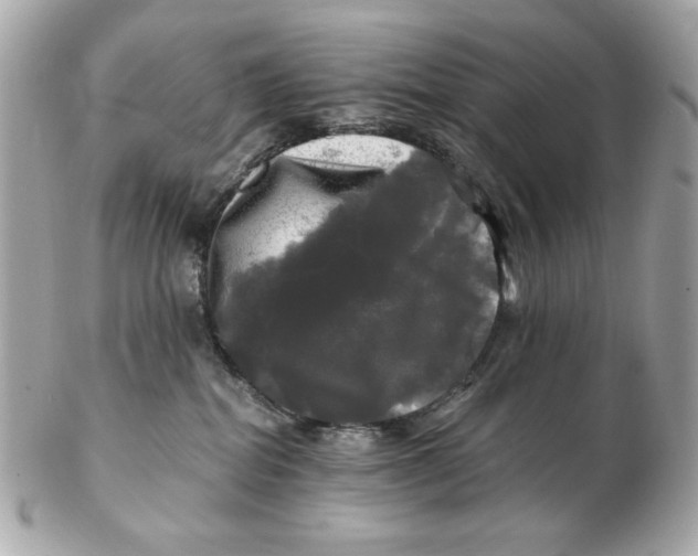 X0000102490282200808291656