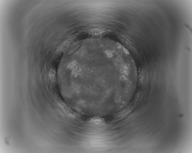 X0000102490283200808291656