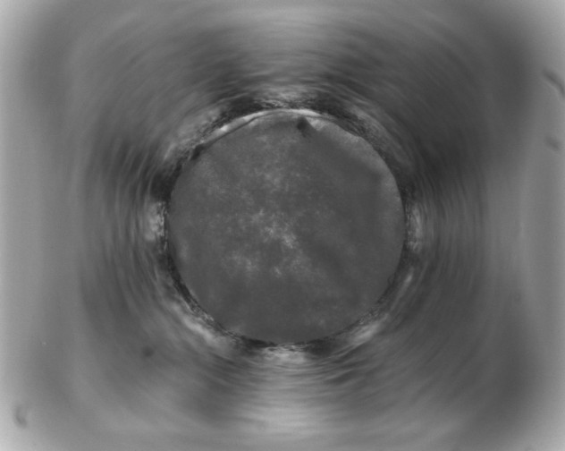 X0000102490284200808291656