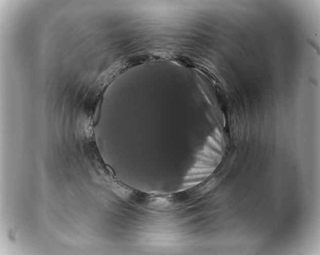 X0000102490285200808291656