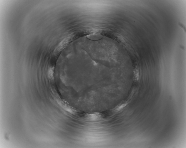 X0000102490286200808291656