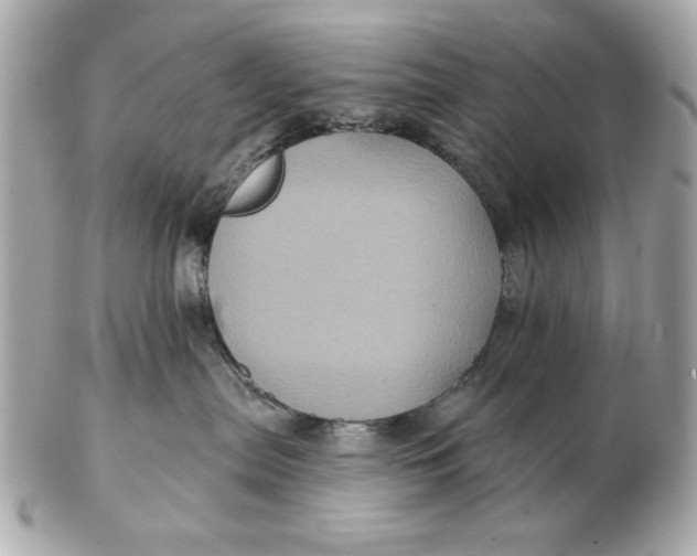 X0000102490287200808291656