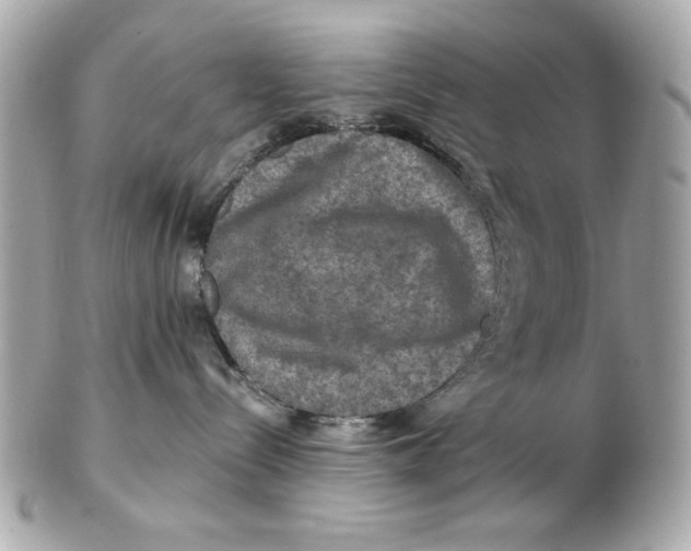 X0000102490288200808291656