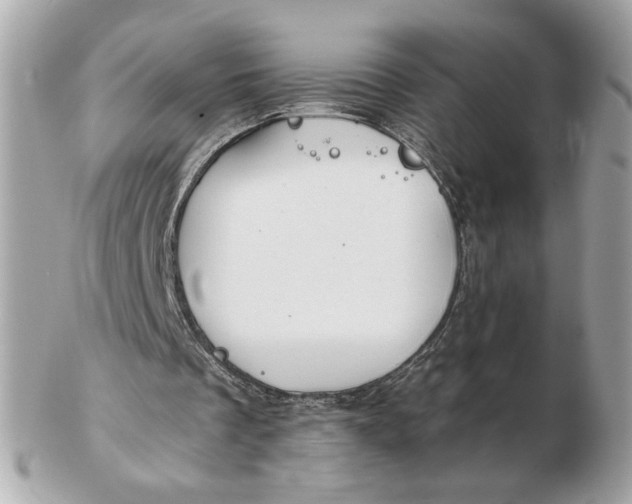 X0000102490289200808291655