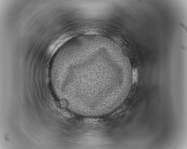 X0000102490291200808291655