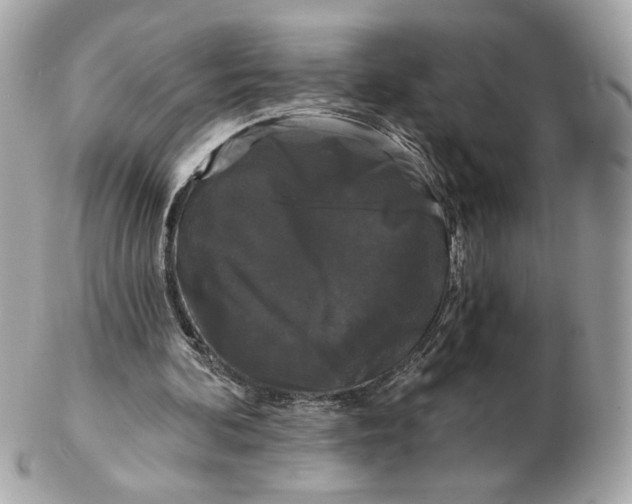 X0000102490292200808291655