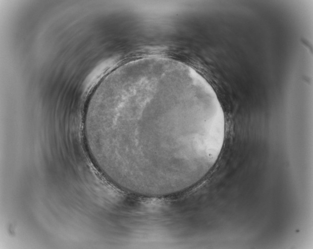 X0000102490293200808291655