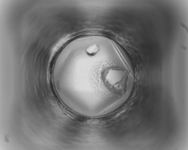 X0000102490294200808291655