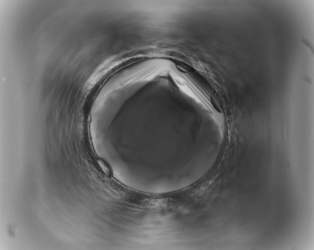 X0000102490295200808291655