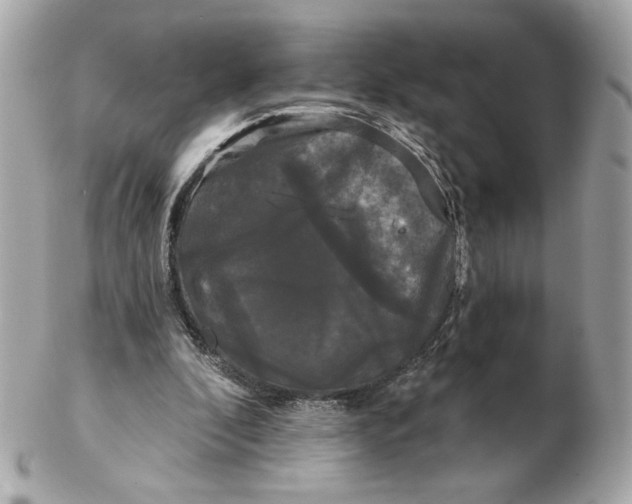 X0000102490296200808291655