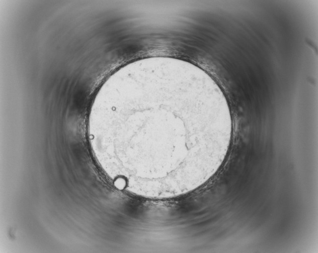 X0000102490297200808291655