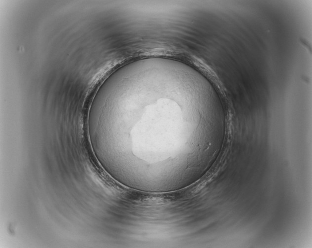 X0000102490298200808291655