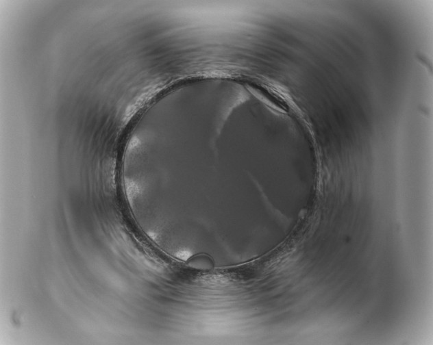 X0000102490299200808291655