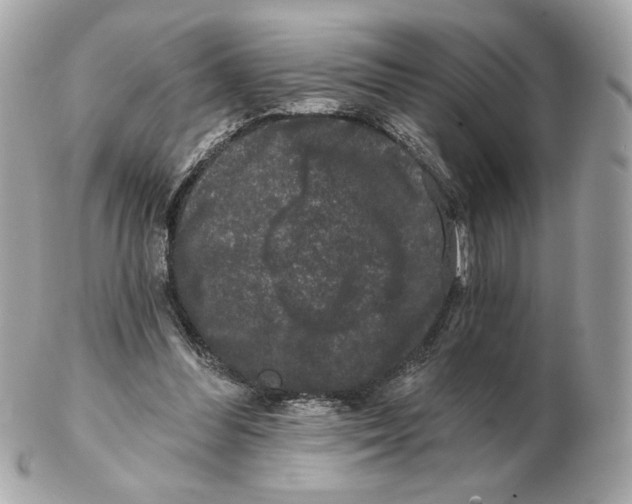 X0000102490300200808291655