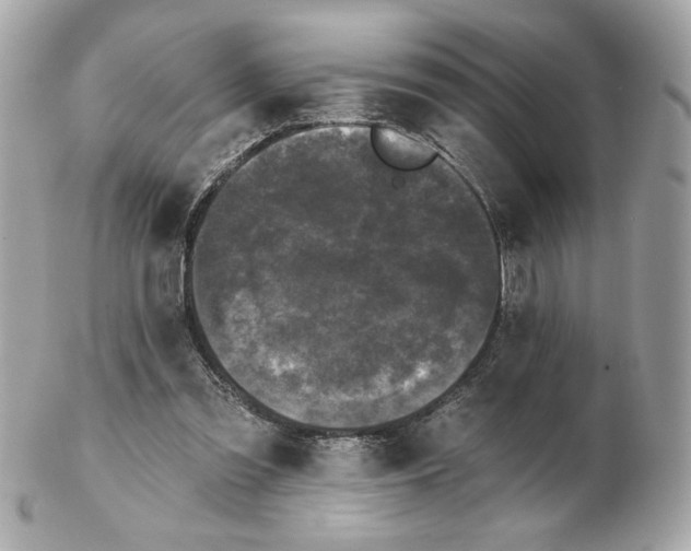 X0000102490301200808291655