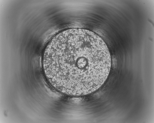 X0000102490302200808291655