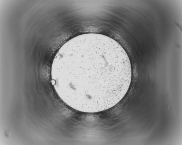 X0000102490305200808291655