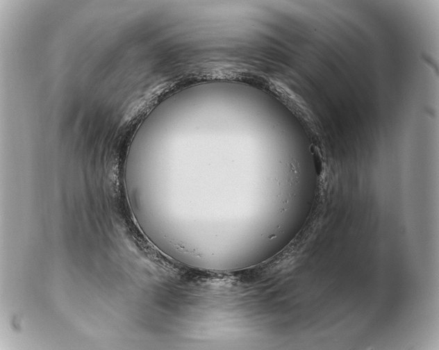 X0000102490306200808291655