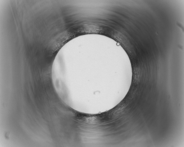 X0000102490309200808291655