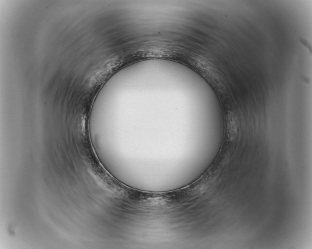 X0000102490310200808291655