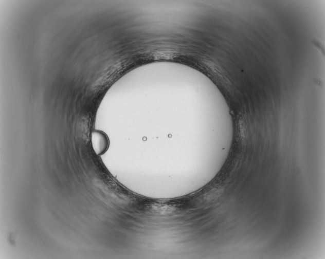 X0000102490311200808291655