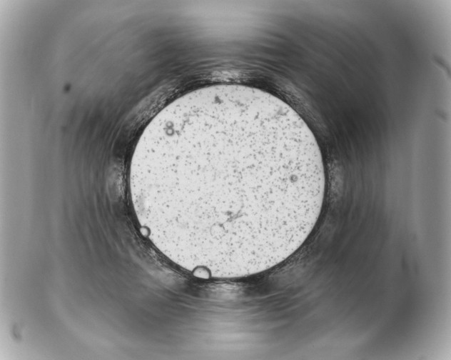 X0000102490313200808291655