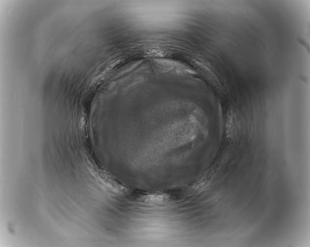 X0000102490314200808291655