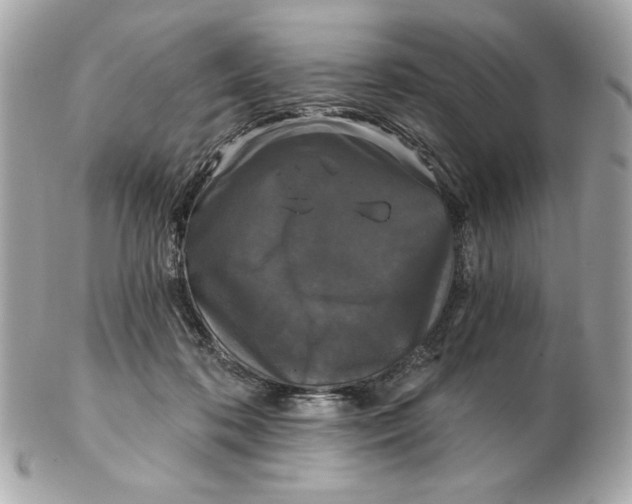 X0000102490316200808291655