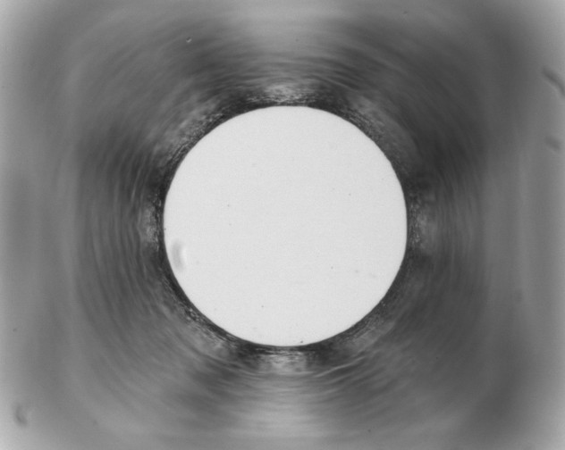 X0000102490317200808291655