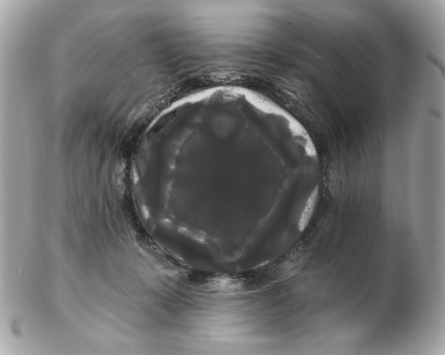 X0000102490319200808291655