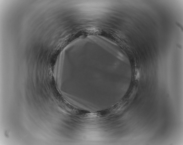 X0000102490320200808291655