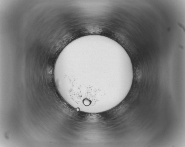 X0000102490321200808291655