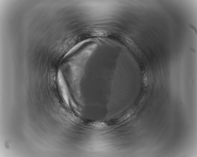 X0000102490322200808291655